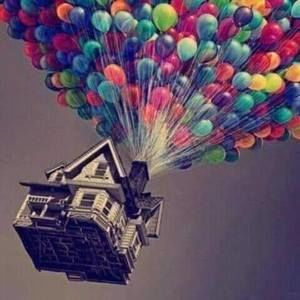 Meet your Posher, Julian